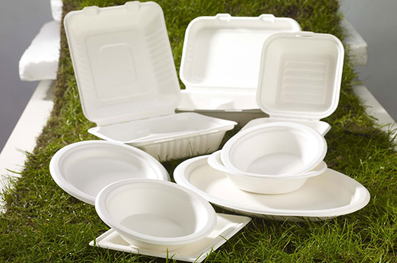 biodegradable tableware