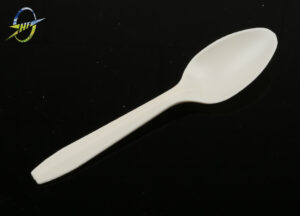 Biodegradable Spoon-6inch