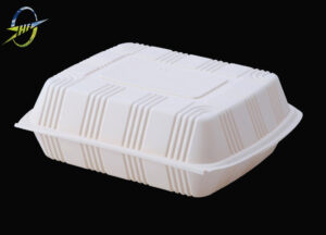 compostable lunch box