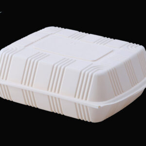 Biodegradable Lunch Box-2000ml-2 Compartment