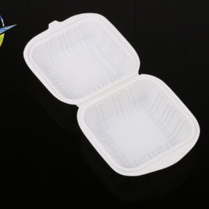 Disposable Biodegradable Lunch Box-1000ml