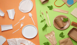 Understanding the Difference: Compostable vs Biodegradable Tableware