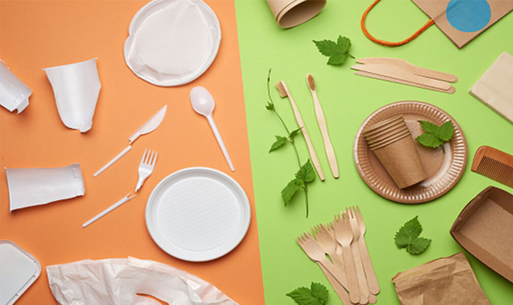 Understanding the Difference: Compostable vs Biodegradable Tableware