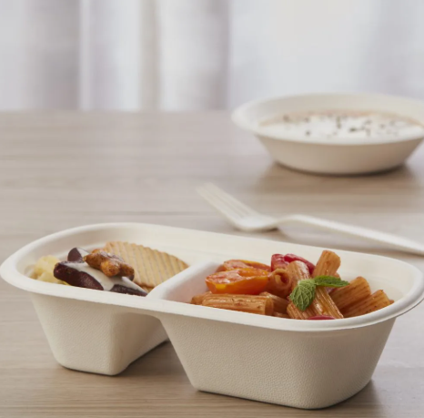 disposable lunch box